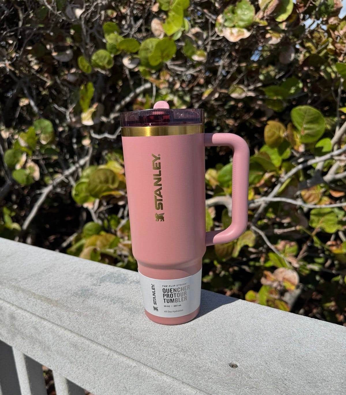 Stanley Leak Proof Quencher ProTour Flip Straw Tumbler (40 oz) - Toy Rush