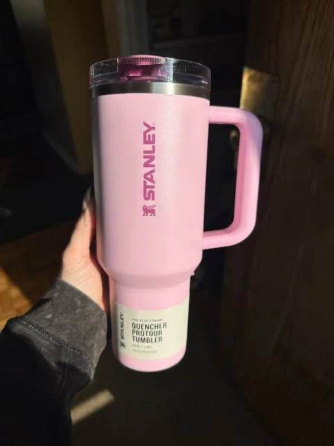Stanley Leak Proof Quencher ProTour Flip Straw Tumbler (40 oz) - Toy Rush