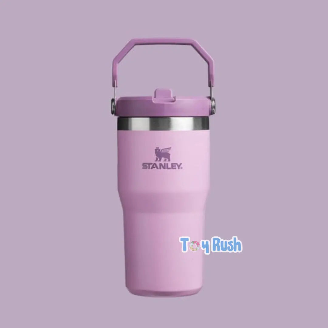 Stanley IceFlow Flip Straw Tumbler 2.0 (20 oz) Pre-Order Now | Dispatch by 25th July